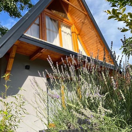 Petrovaradin Chalet Novi Sad Exteriér fotografie