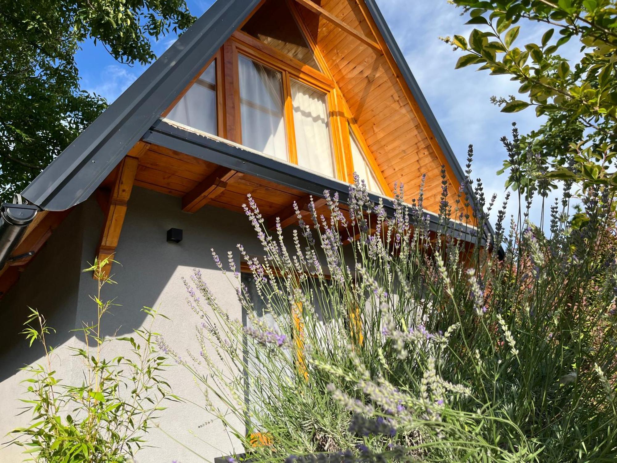 Petrovaradin Chalet Novi Sad Exteriér fotografie